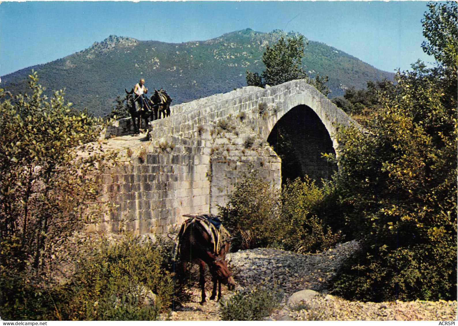 PONT GENOIS Du XIIIe Siecle Aux Envions De Saterne 1(scan Recto-verso) MA925 - Sartene