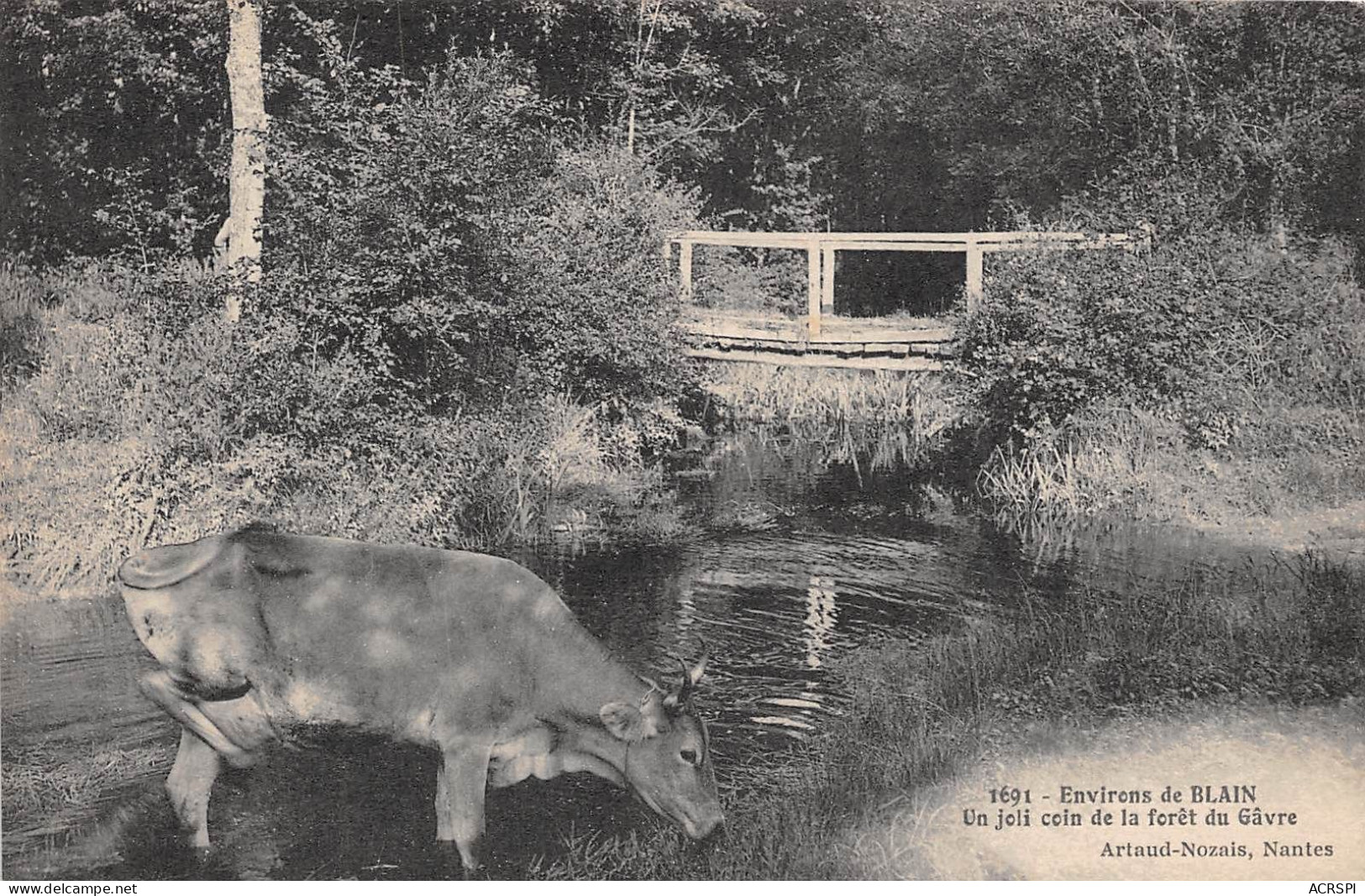 Environs De BLAIN Un Joli Coin De La Foret Du Gavre 20(scan Recto-verso) MA947 - Blain