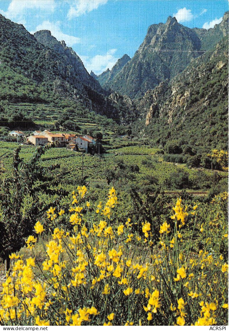 Aux Environs De LAMALOU LES BAINS L Entree Des Gorges D Heric  24(scan Recto-verso) MA963 - Lamalou Les Bains