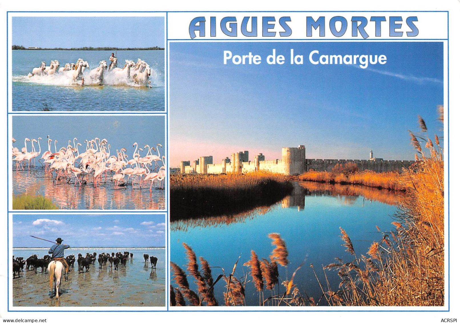 AIGUES MORTES Cite De Saint Louis 16(scan Recto-verso) MA961 - Aigues-Mortes