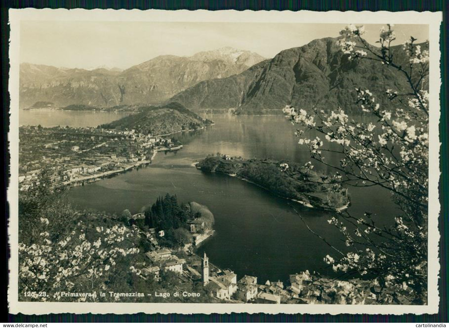 Como Città Lago Di Tramezzina Foto FG Cartolina MZ5155 - Como