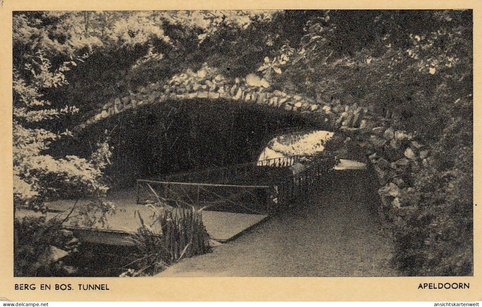 Apeldorn Berg En Bos. Tunnel Ngl #D6026 - Apeldoorn