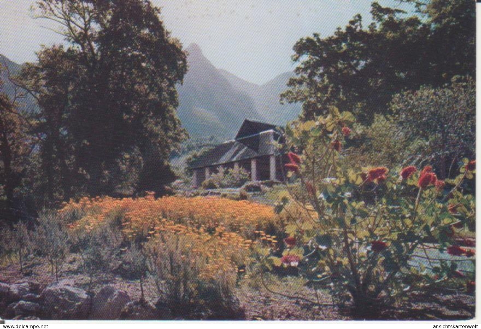 ZA Kapstadt Tearoom Kirstenbosch Cape Ngl #222.609 - Ohne Zuordnung