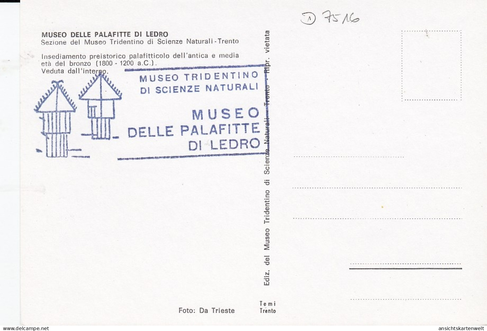 Insediamento Preistorico - Museum Trento Ngl #D7516 - Sculture