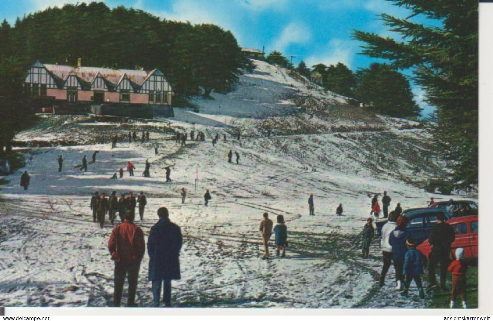 Algerien: Chrea - Piste De Ski Et Restaurant Du Ski Club Ngl #223.542 - Ohne Zuordnung