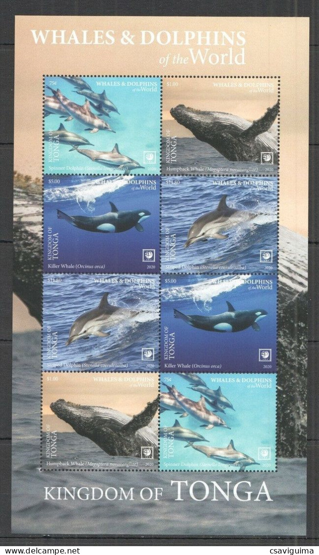Tonga - 2020 - Whales And Dolphins - Yv 1578/81 - Ballenas