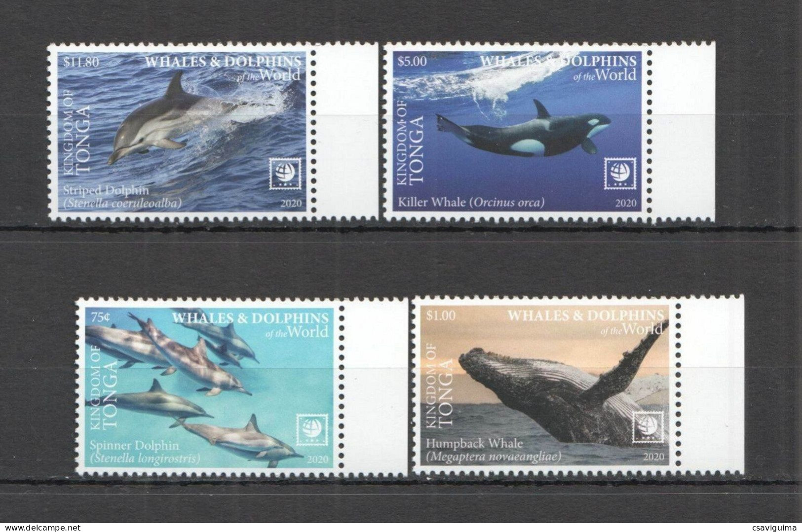 Tonga - 2020 - Whales And Dolphins - Yv 1574/77 - Balene