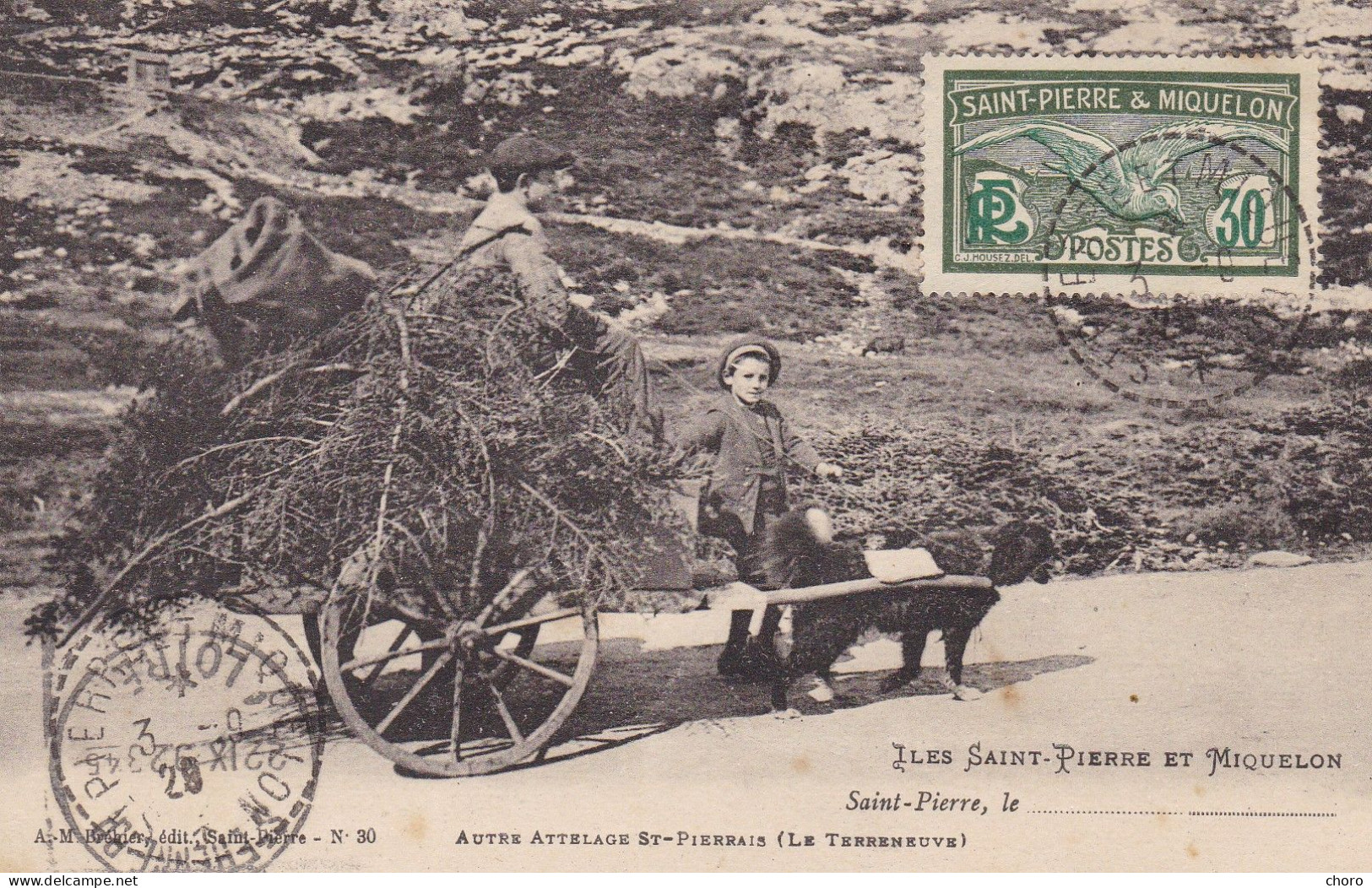 SAINT PIERRE ET MIQUELON - ATTELAGE ST PIERRAIS - LE TERRENEUVE - ATTELAGE CHIEN - Saint-Pierre-et-Miquelon