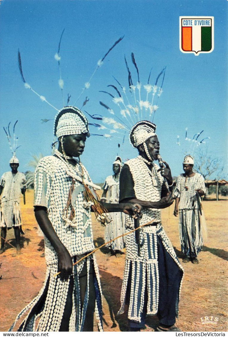 COTE D'IVOIRE - Danseurs Sénoufos - Animé - Carte Postale - Elfenbeinküste