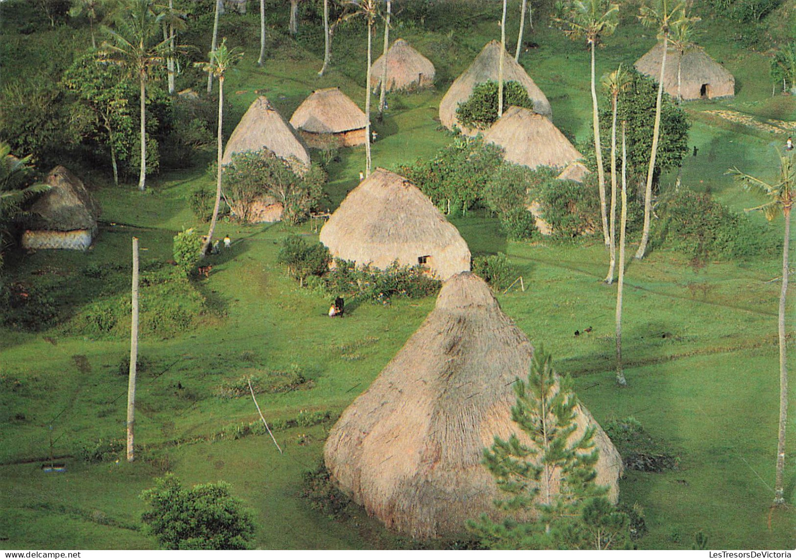 FIDJI - The Thatched Houses Called Bures Are Cool In The Summer And Warm In The Winter - Animé - Carte Postale - Fiji