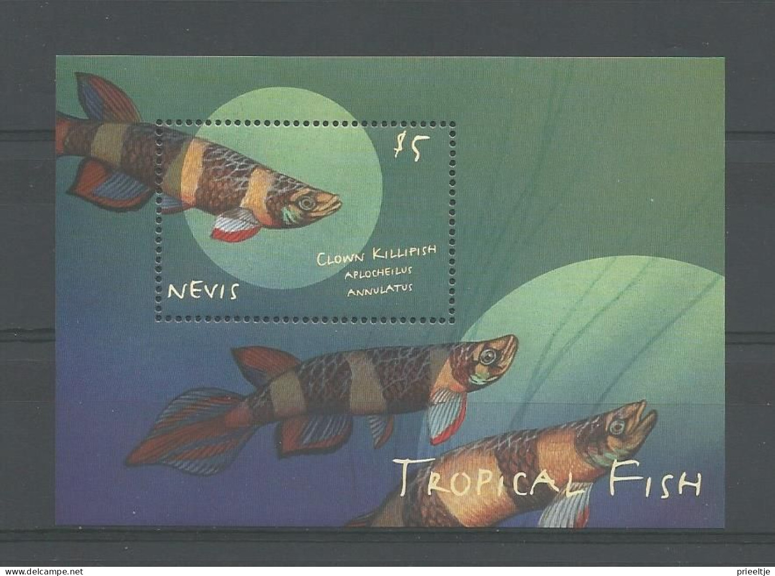 Nevis 2000 Tropical Fish S/S 2  Y.T. BF 180 ** - St.Kitts Und Nevis ( 1983-...)