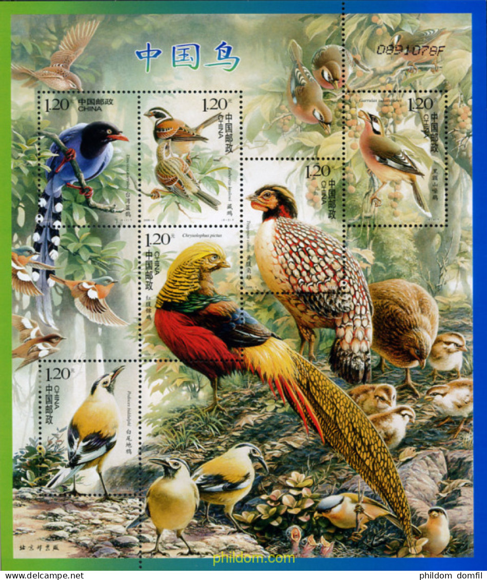 215677 MNH CHINA. República Popular 2008 AVES - Ungebraucht