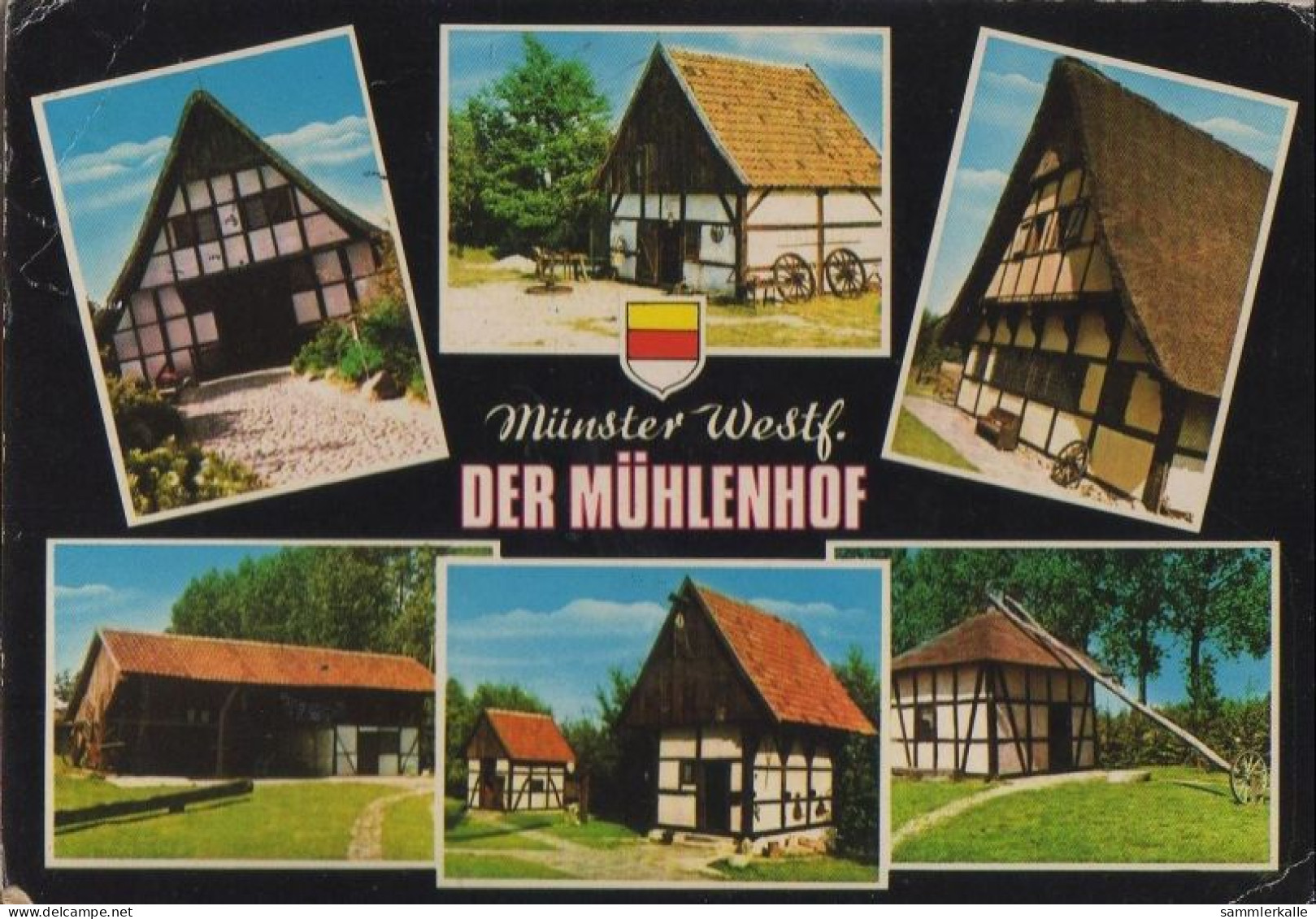 33004 - Münster - Mühlenhof - 1974 - Muenster