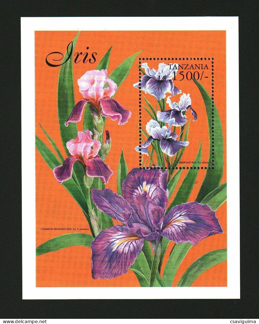 Tanzania - 1999 - Flowers: Iris - Yv Bf 465P - Andere & Zonder Classificatie