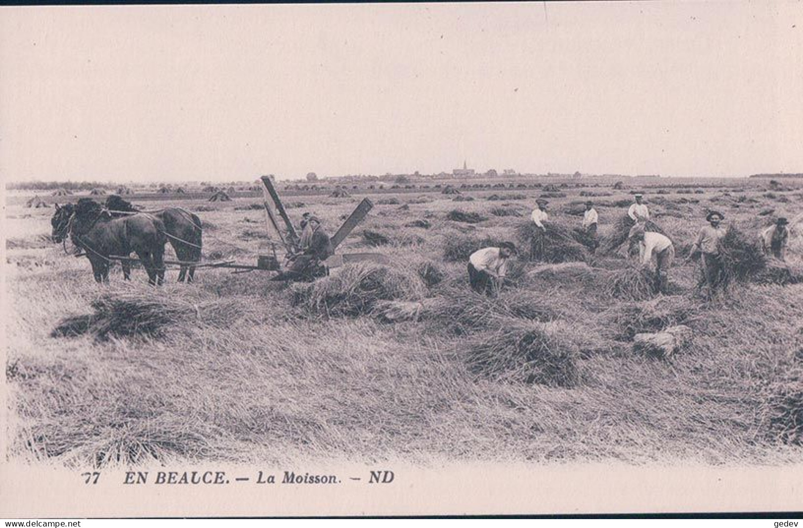 France, En Beauce, La Moisson, Attelage De 2 Cheveaux à La Moissonneuse (77) - Landbouw