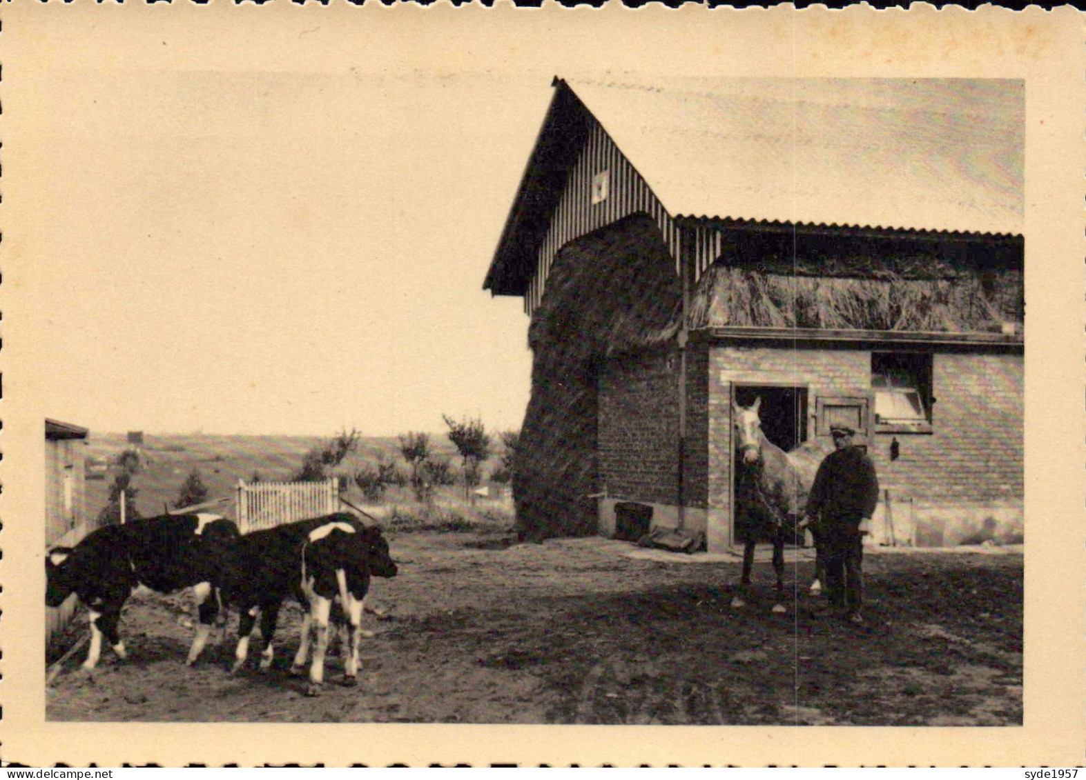 BRAINE-l'ALLEUD Collège Cardinal-Mercier Un Coin De La Ferme (veaux, Cheval,..) - Eigenbrakel