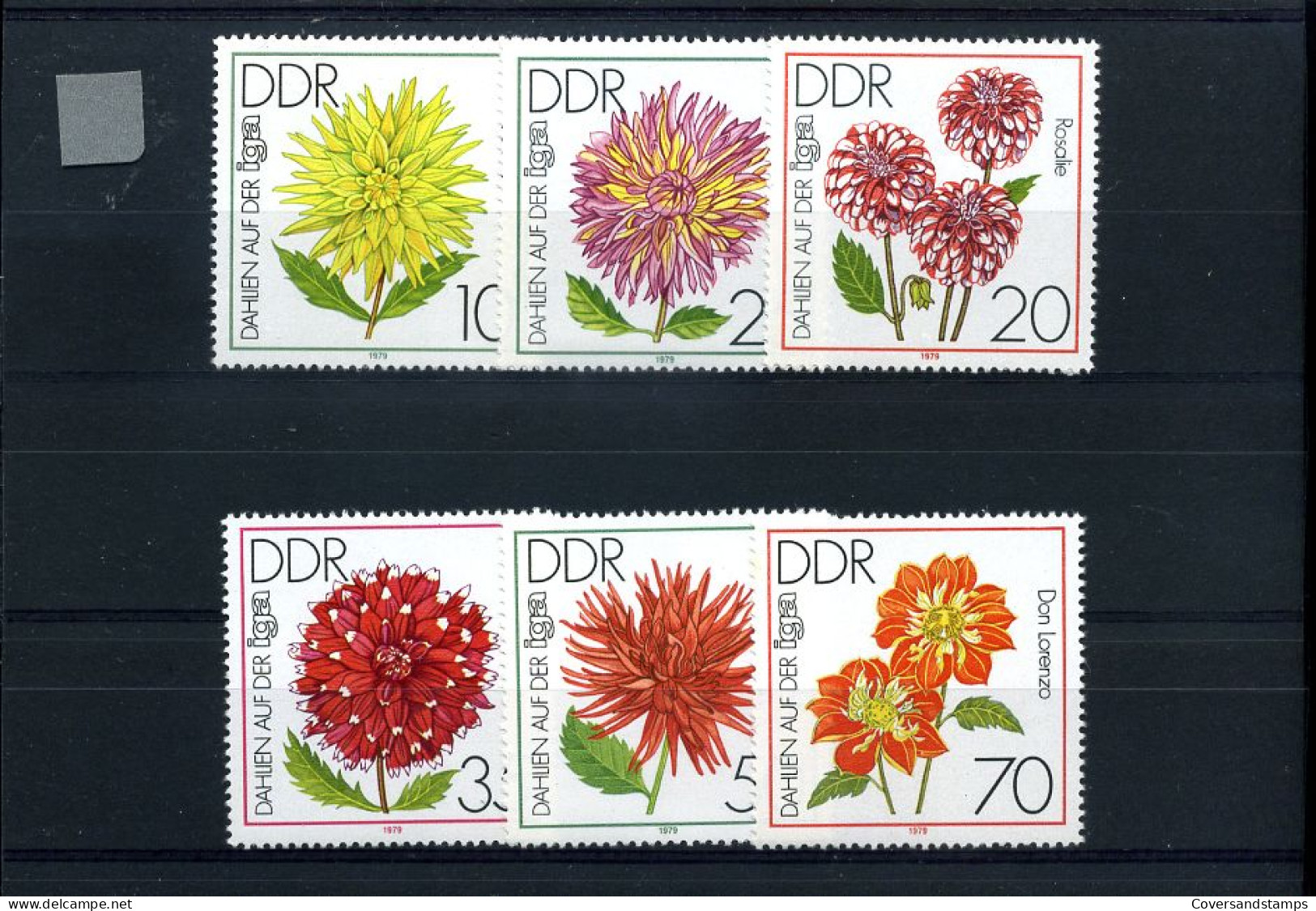 DDR  -  Bloemen                                                        - Andere & Zonder Classificatie