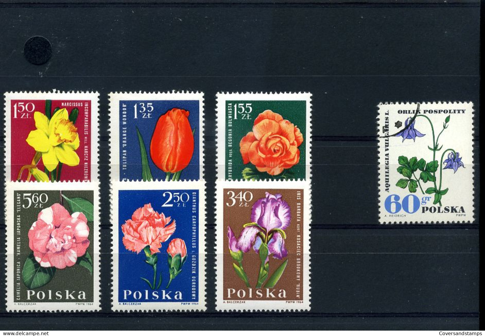 Polen  -  Bloemen                                                        - Andere & Zonder Classificatie