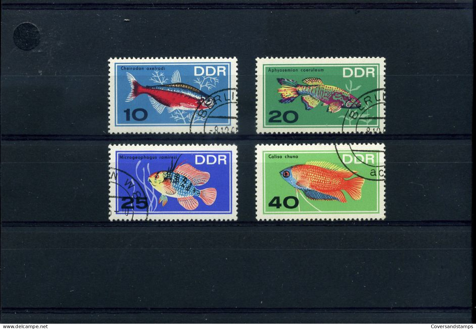 DDR  -  Dieren                                                      - Fishes