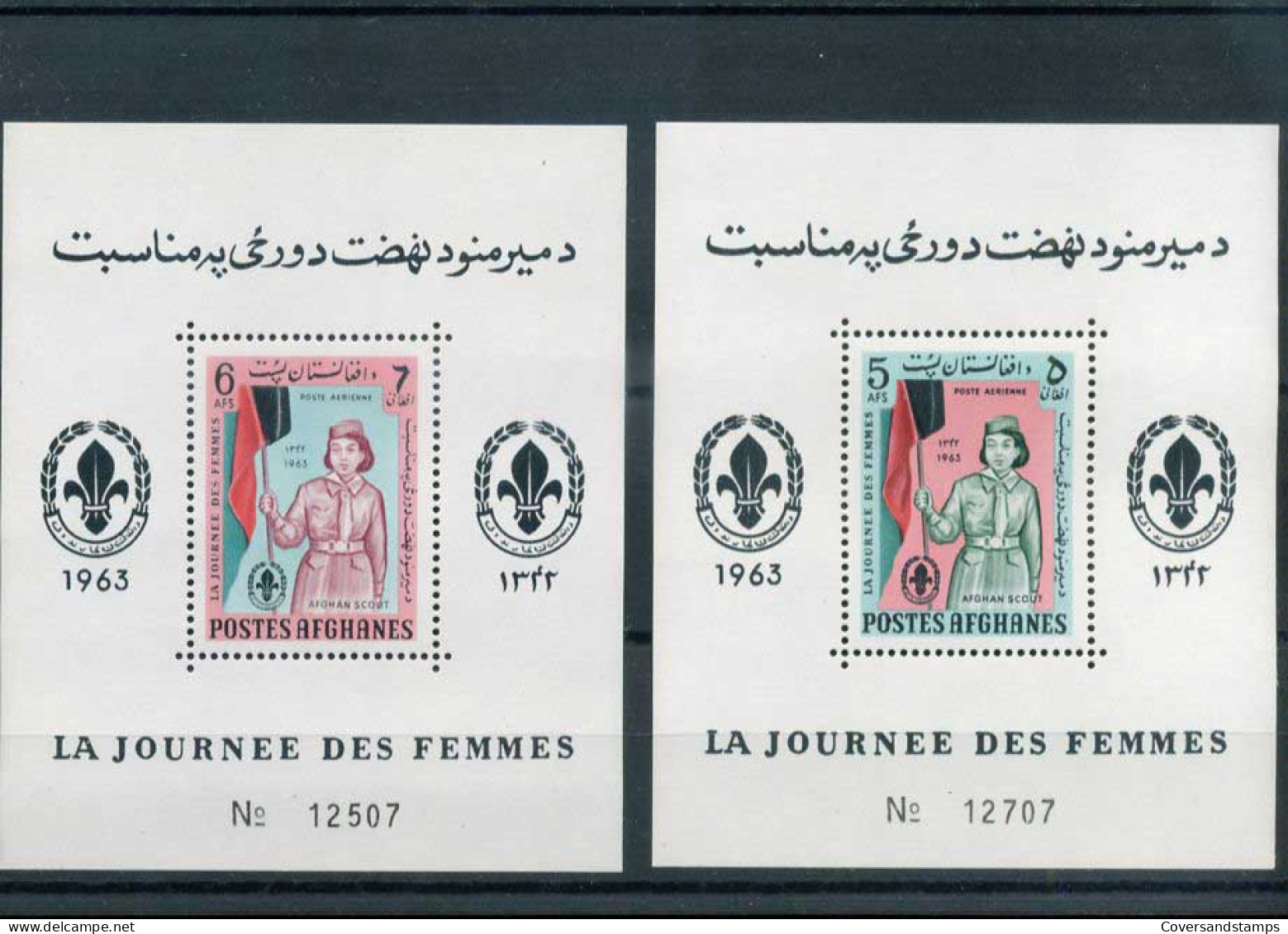 Afghanistan  - Scoutisme                                        - Unused Stamps