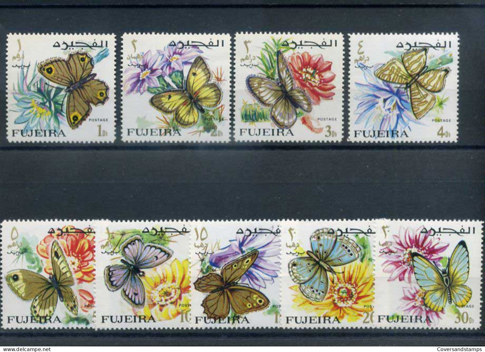 Fujeira - Vlinders                                  - Butterflies