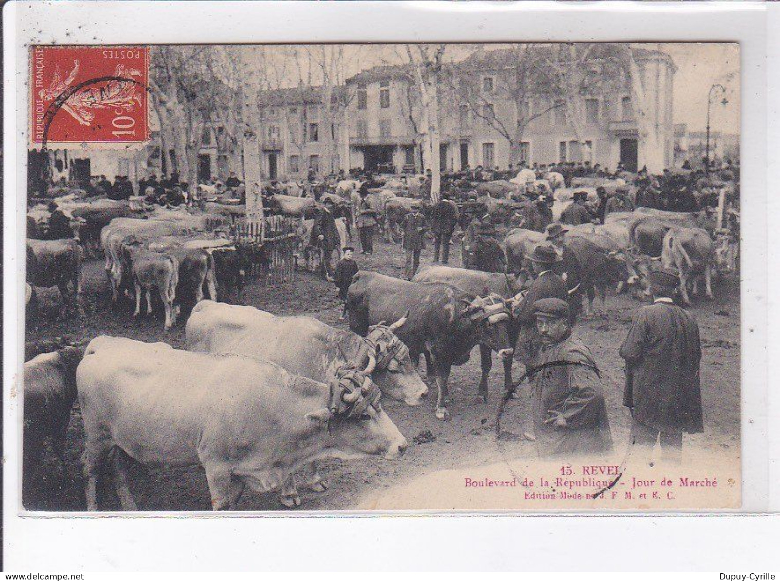 REVEL: Boulevard De La République, Jour De Marché, Boeufs - Très Bon état - Revel