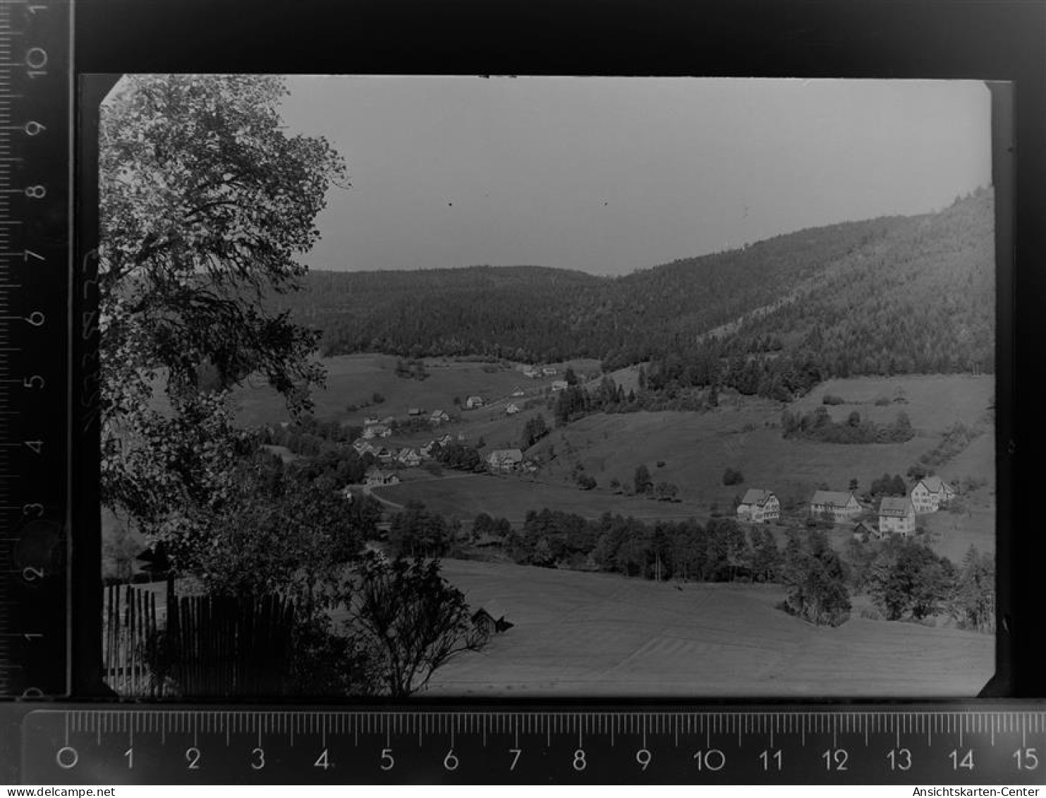 30100203 - Obertal , Kr Freudenstadt - Baiersbronn