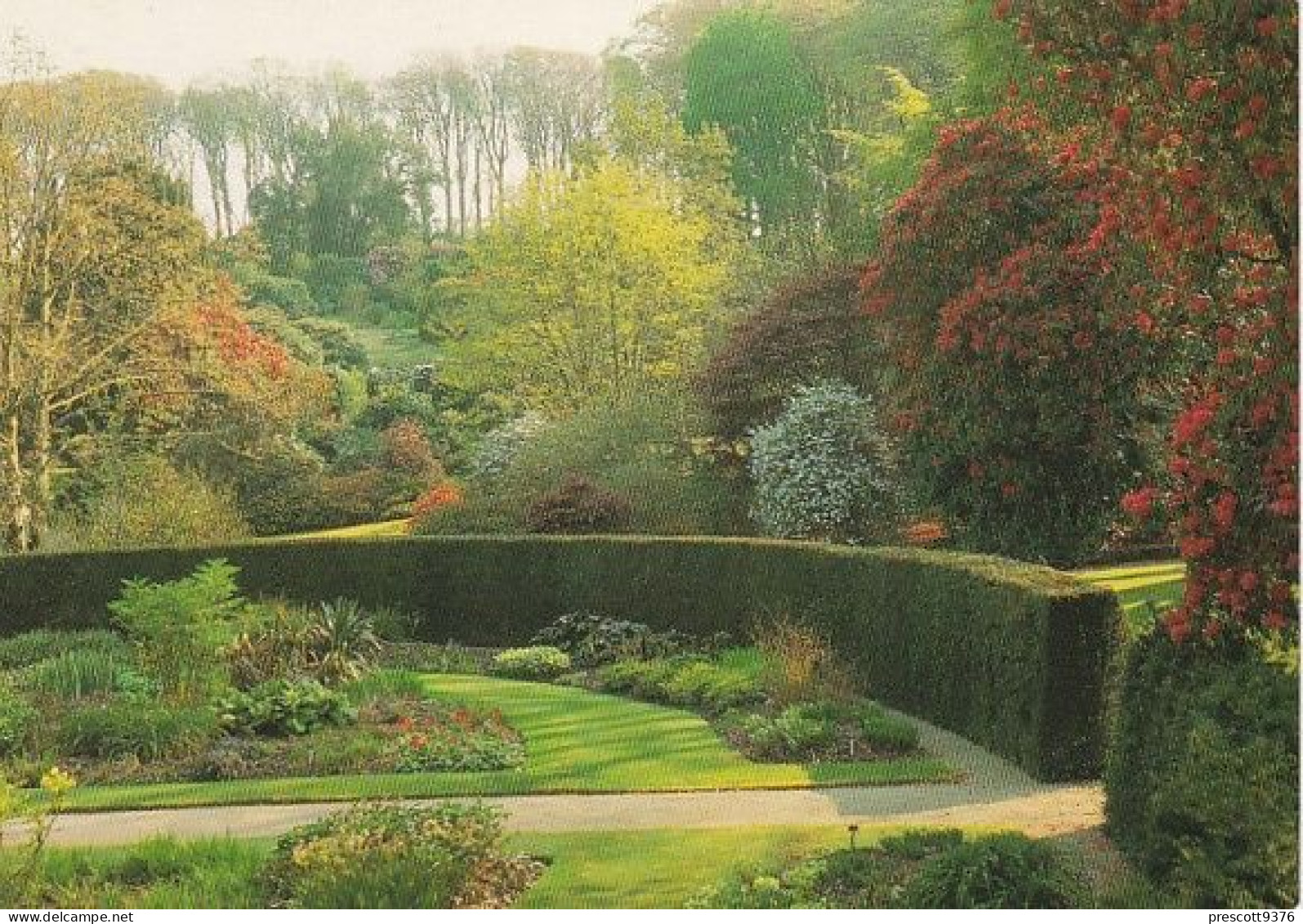 Higher Gardens, Lanhydrock - Cornwall - Unused Postcard - Cor5 - Other & Unclassified