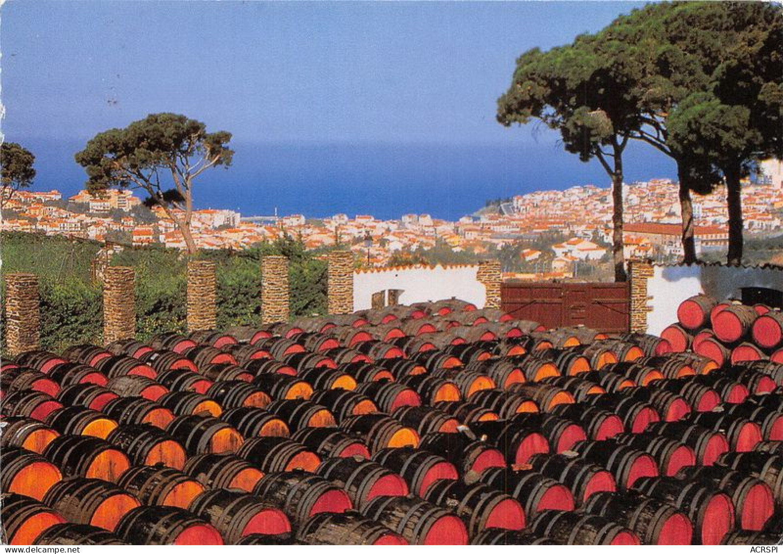 BANYULS SUR MER Parc De Vieillisement A L Air Libre Des Banyuls 5(scan Recto-verso) MA1003 - Banyuls Sur Mer