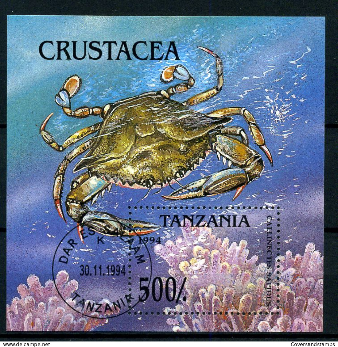 Tanzania - Krab - Crustacea - Schalentiere