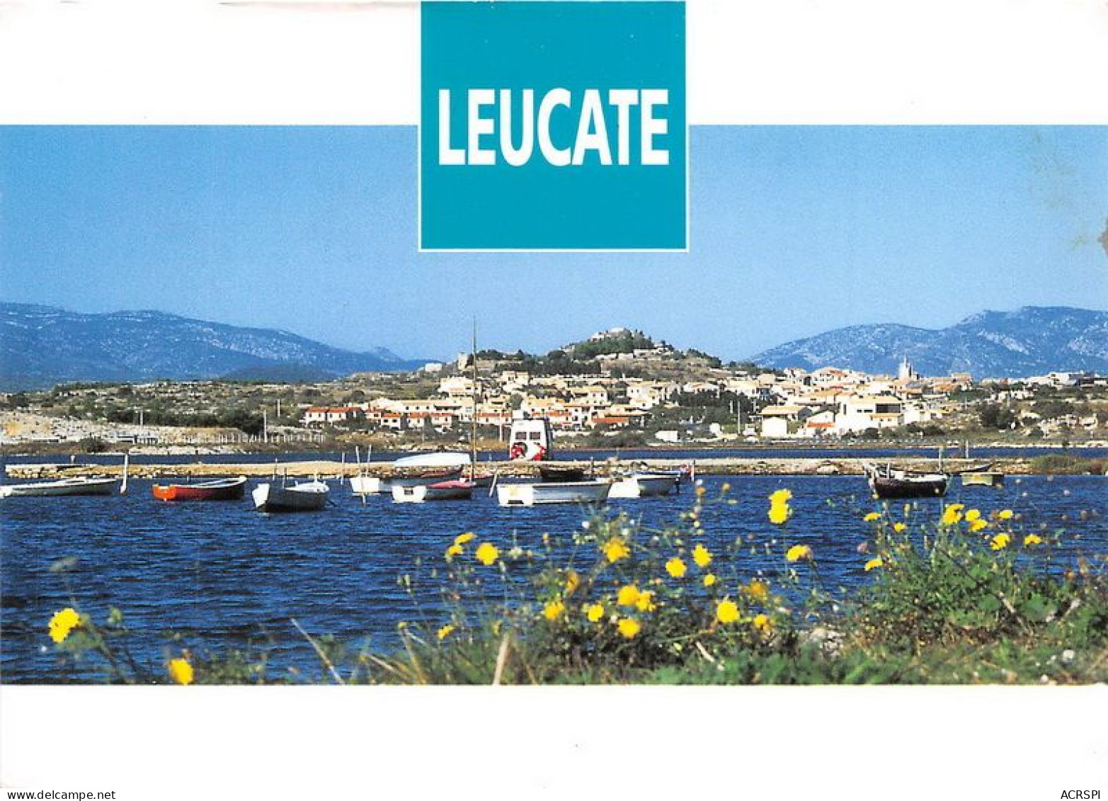 LEUCATE Souvenir Le Village Vu Depuis L Etang 3(scan Recto-verso) MA1068 - Leucate