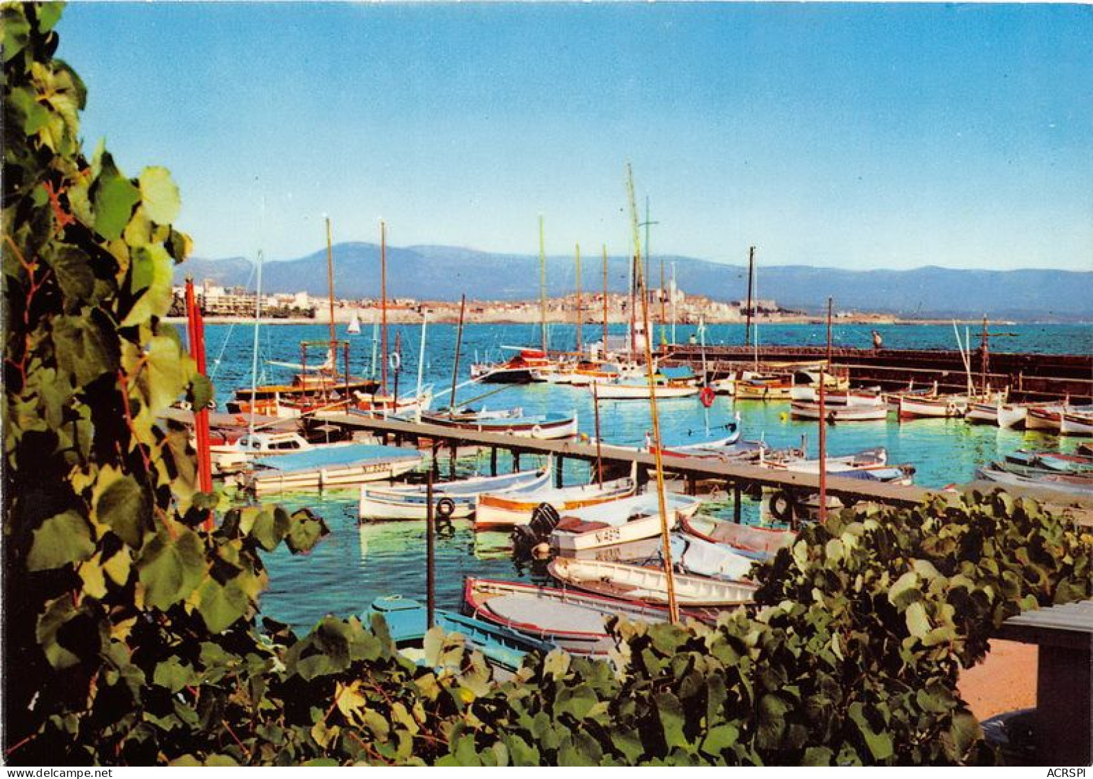 ANTIBES Le Port De La Salis 17(scan Recto-verso) MA1060 - Juan-les-Pins