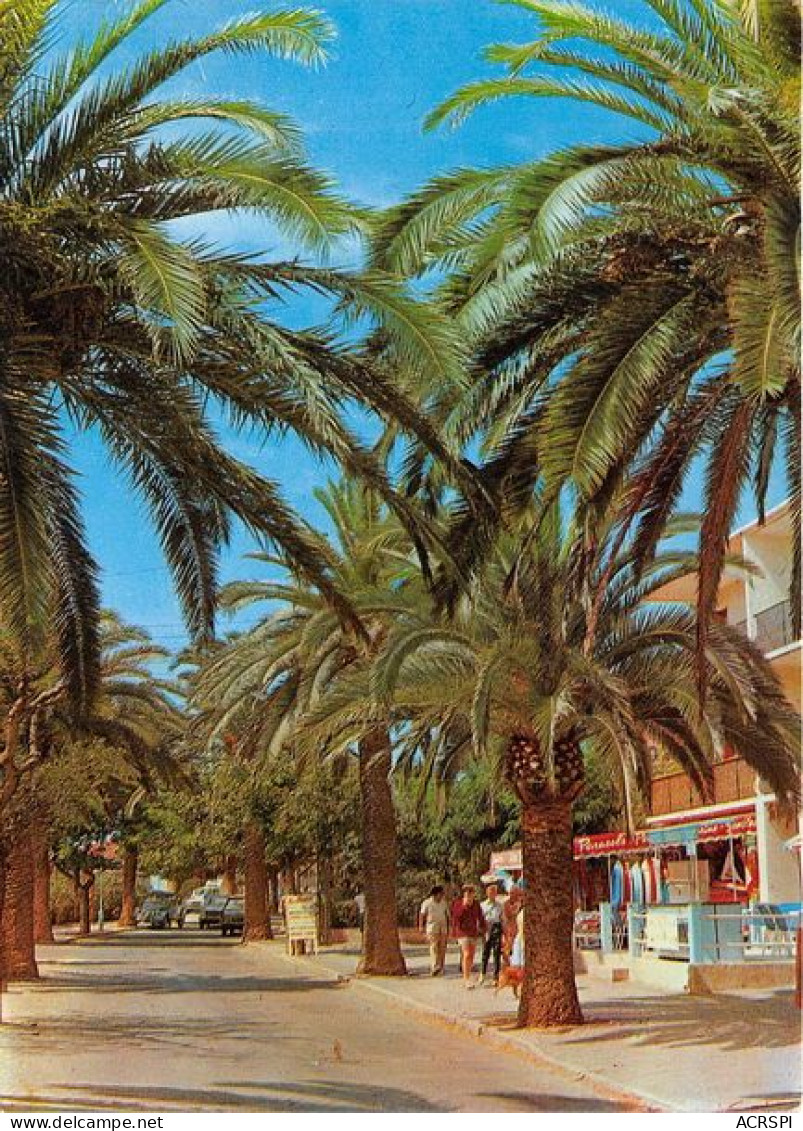 SANARY Les Palmiers Sur L Avenue De Portissol 18(scan Recto-verso) MA1082 - Sanary-sur-Mer