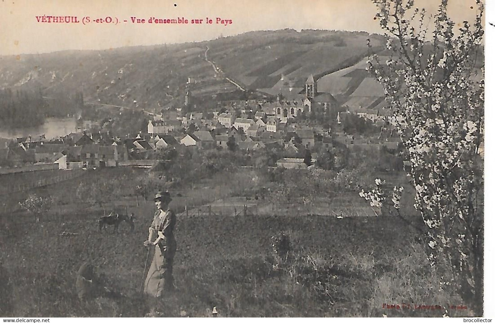 VETHEUIL ( 95 ) -  Vue  D'ensemble - Vetheuil