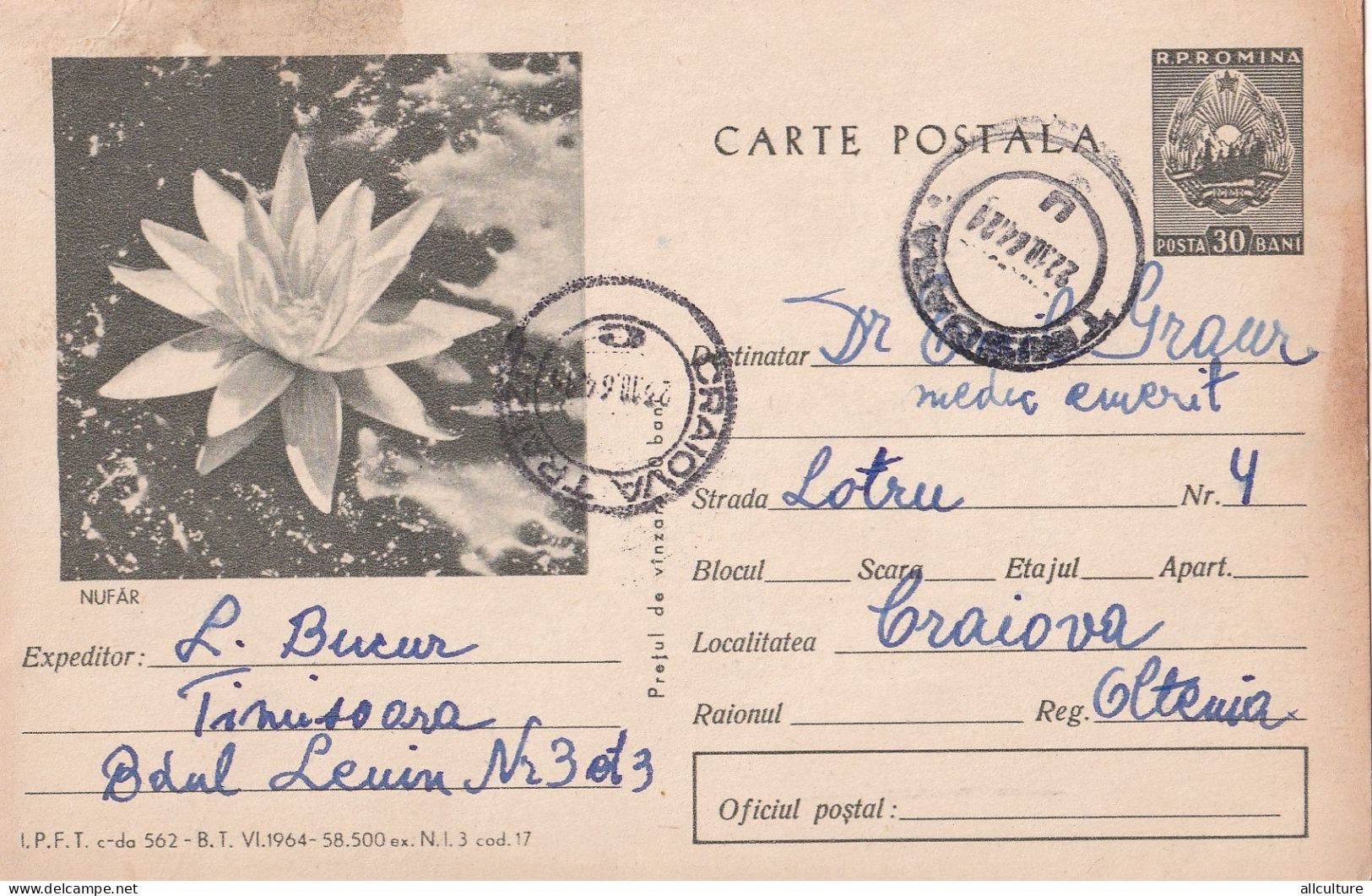 A24478 - FLOWER NUFAR   Postal Stationery ROMANIA 1964 - Ganzsachen