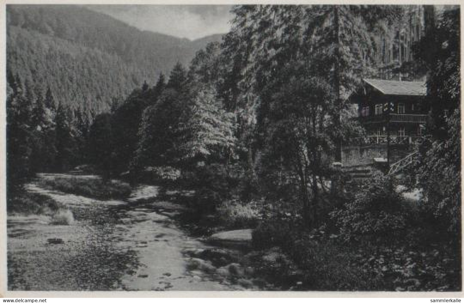 16561 - Schwarzburg - Schweizerhaus - Schwarzatal - Ca. 1955 - Saalfeld