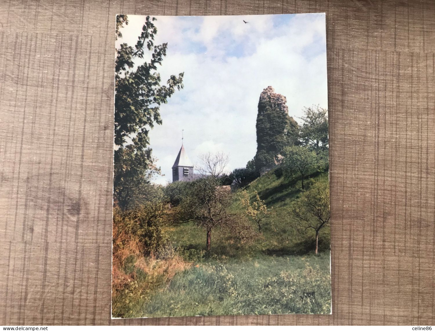  CHATILLON SUR MARNE Les Ruines Du Chateau  - Châtillon-sur-Marne