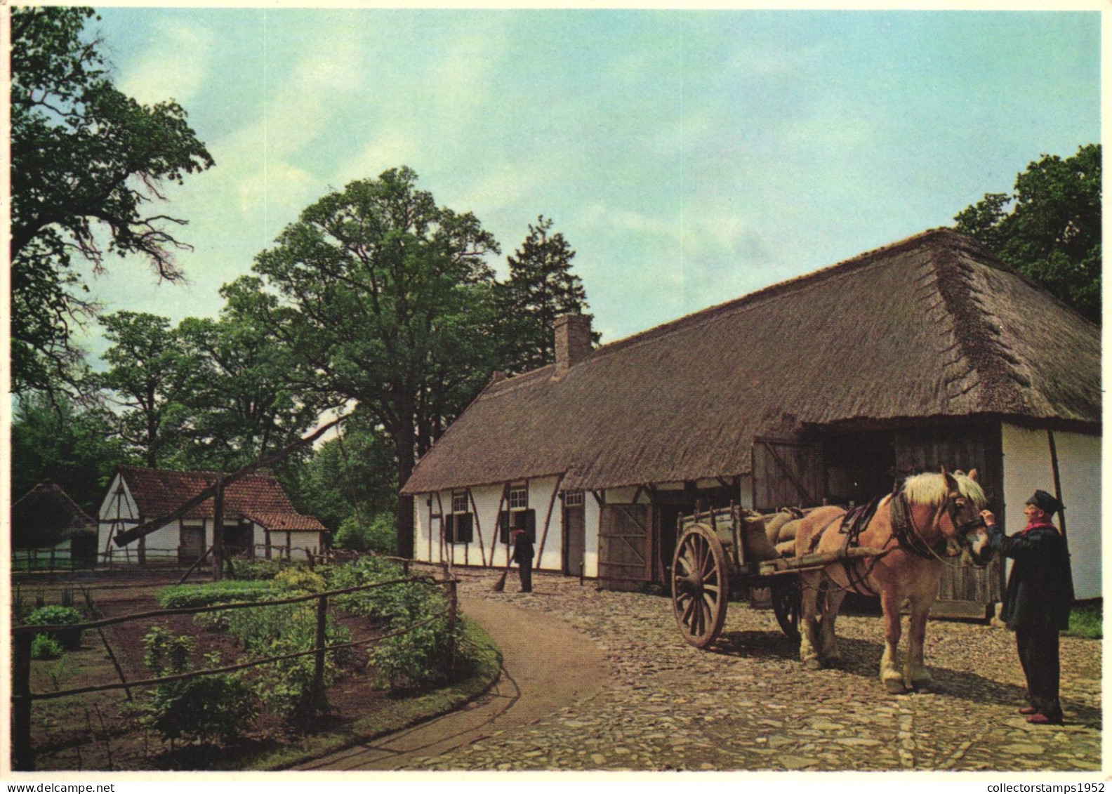 GENK, HASSELT, LIMBURG, MUSEUM, CART, HORSE, BELGIUM, POSTCARD - Hasselt