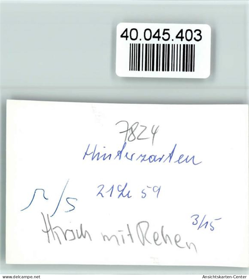 40045403 - Hinterzarten - Hinterzarten