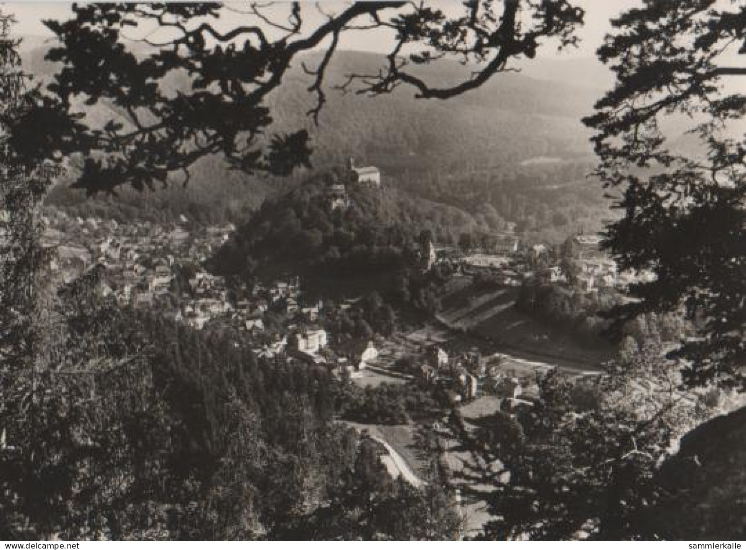 16717 - Schwarzburg Vom Trippstein - Ca. 1975 - Saalfeld