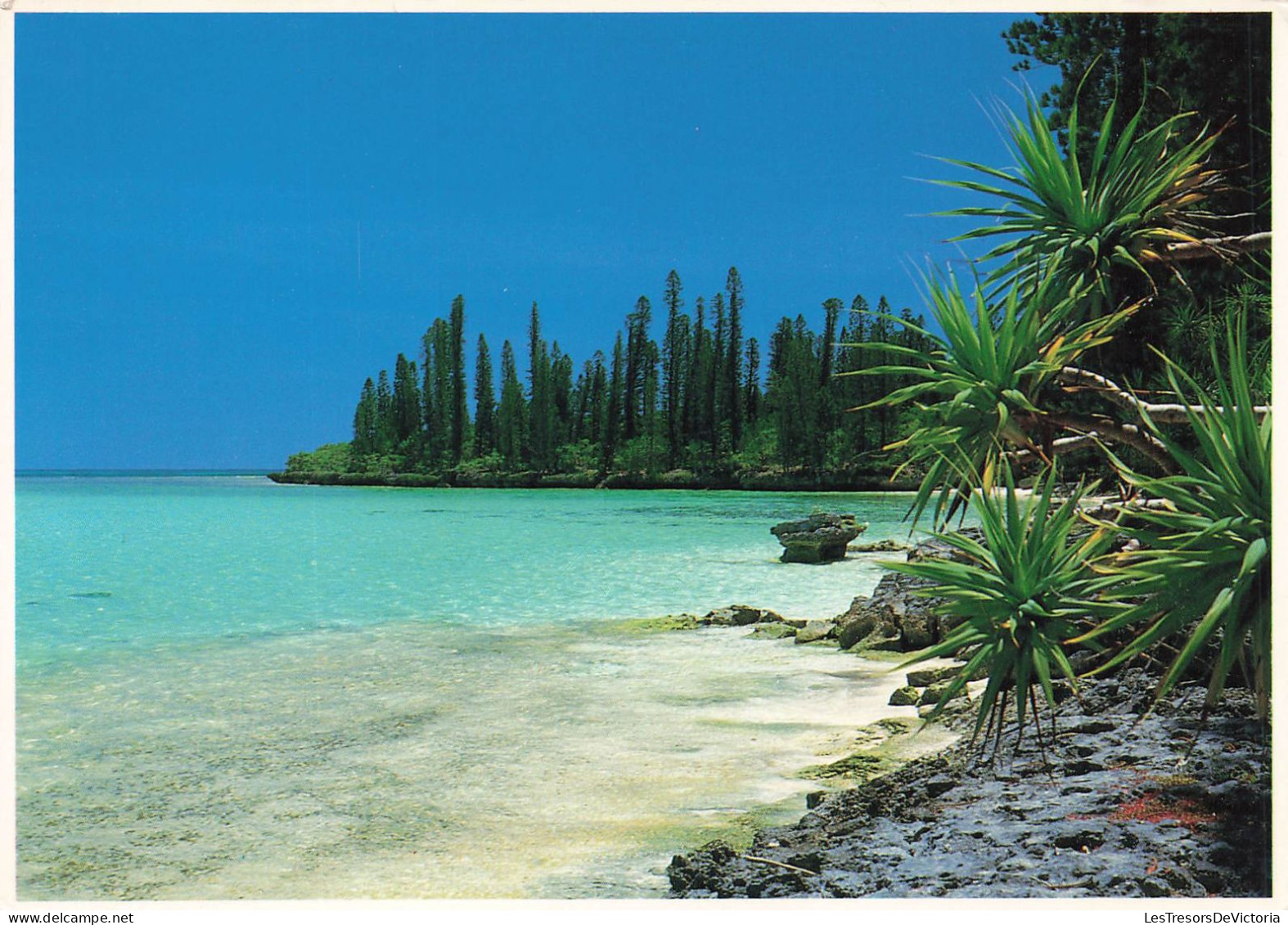 FRANCE - Nouvelle Calédonie - Ile Des Pins - Ilôt Brosse - Plage - Carte Postale - Nouvelle Calédonie