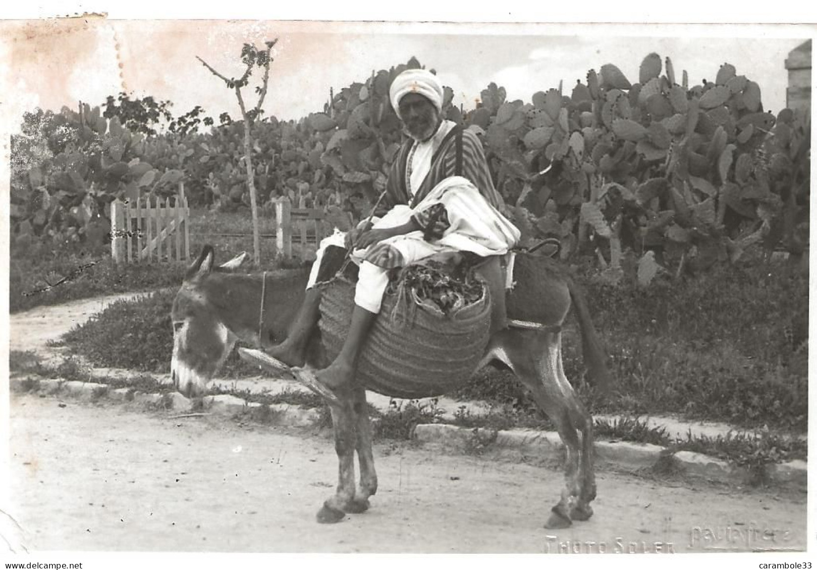 CPA   AFRIQUE  Tunisie   Homme Avec Son  Ane       Circulée   (1422) - Tunesien