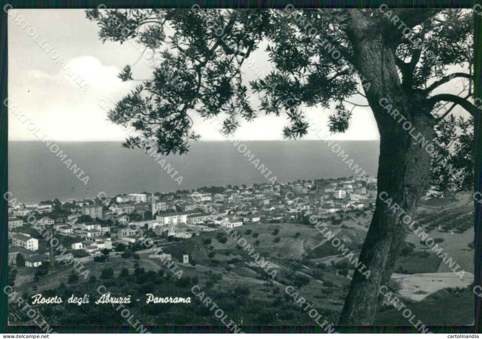 Teramo Roseto Degli Abruzzi Foto FG Cartolina ZK1066 - Teramo