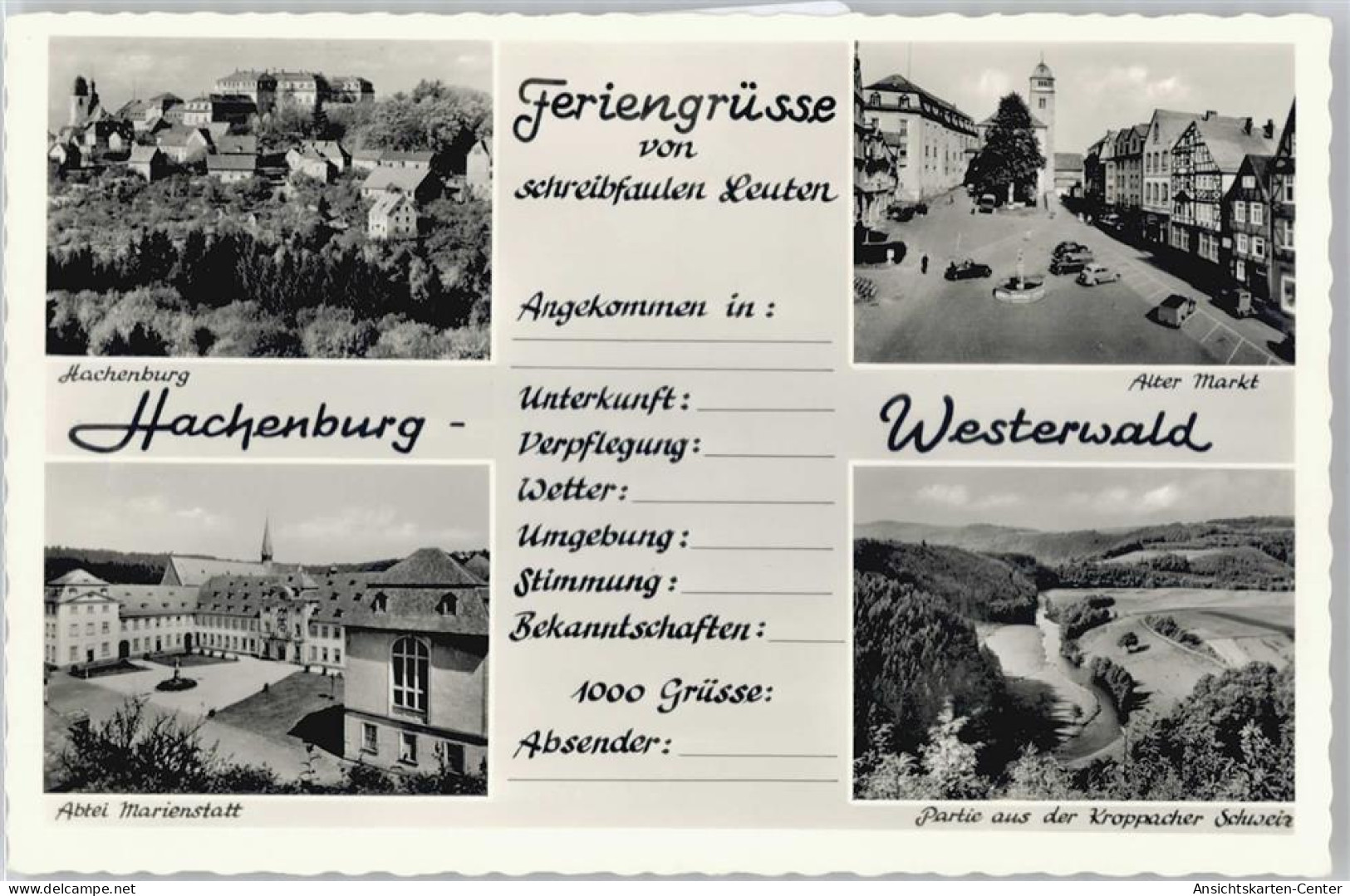 50681003 - Hachenburg - Hachenburg