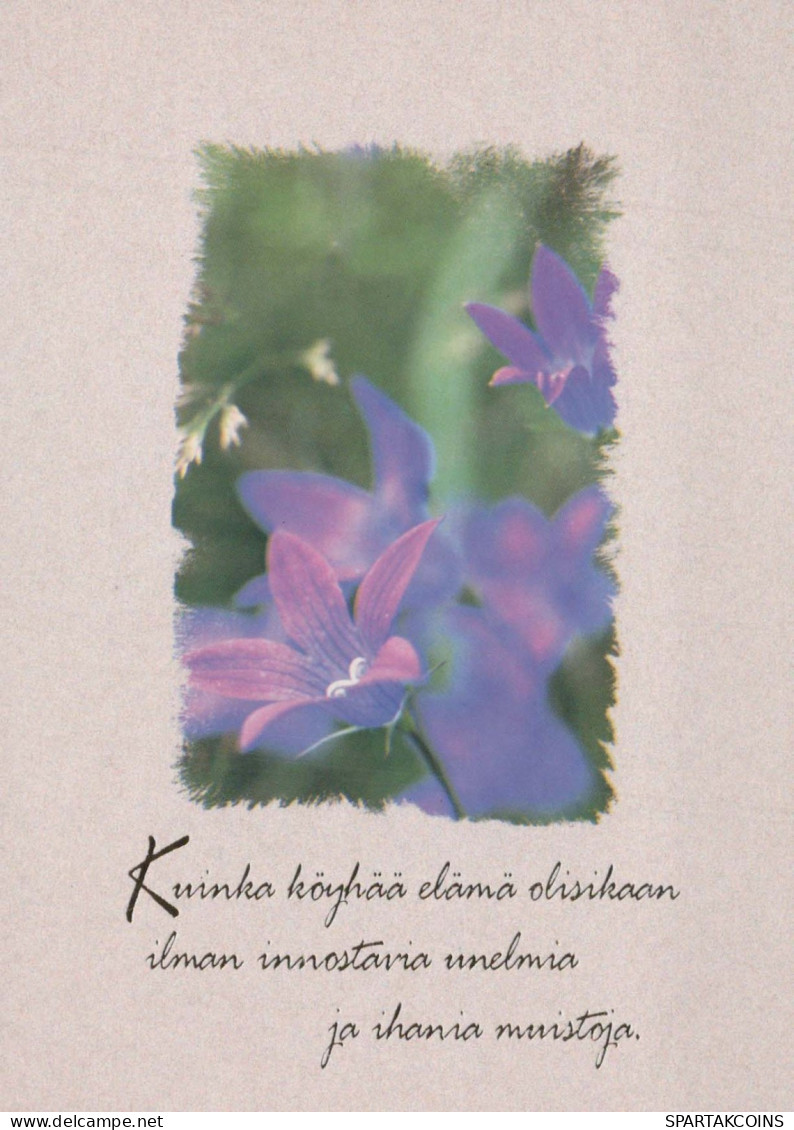 FLOWERS Vintage Ansichtskarte Postkarte CPSM #PBZ823.A - Blumen