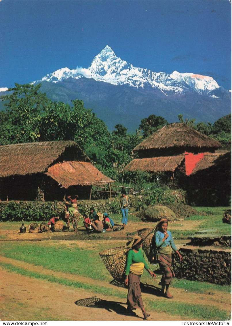 NEPAL - Kathmandu - Hotel Crystal - Bhim Ratna Harsha Ratna - Animé - Village - Carte Postale - Népal