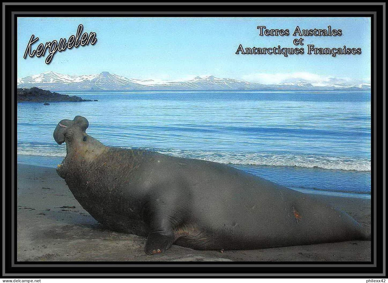2746 ANTARCTIC Terres Australes (taaf)-carte Postale Dufresne 2 Signé Signed Op 2007/2 N°450 KERGUELEN 28/8/2007 - Spedizioni Antartiche