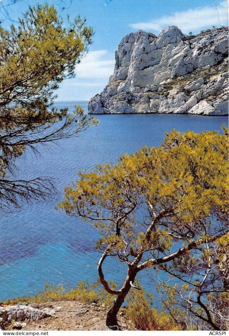 MARSEILLE Nos Belles Calanques Sormiou La Pointe Et Cap Redon 2(scan Recto-verso) MA1100 - Quatieri Sud, Mazarques, Bonneveine, Pointe Rouge, Calanques