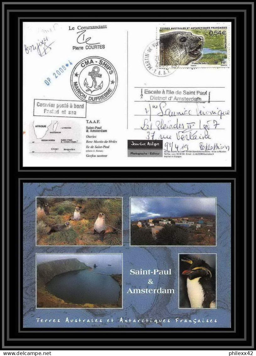 2807 Sea Elephant Terres Australes (taaf)-carte Postale Dufresne 2 Signé Signed Op 2008/4 St Paul N°508 20/12/2008 - Lettres & Documents