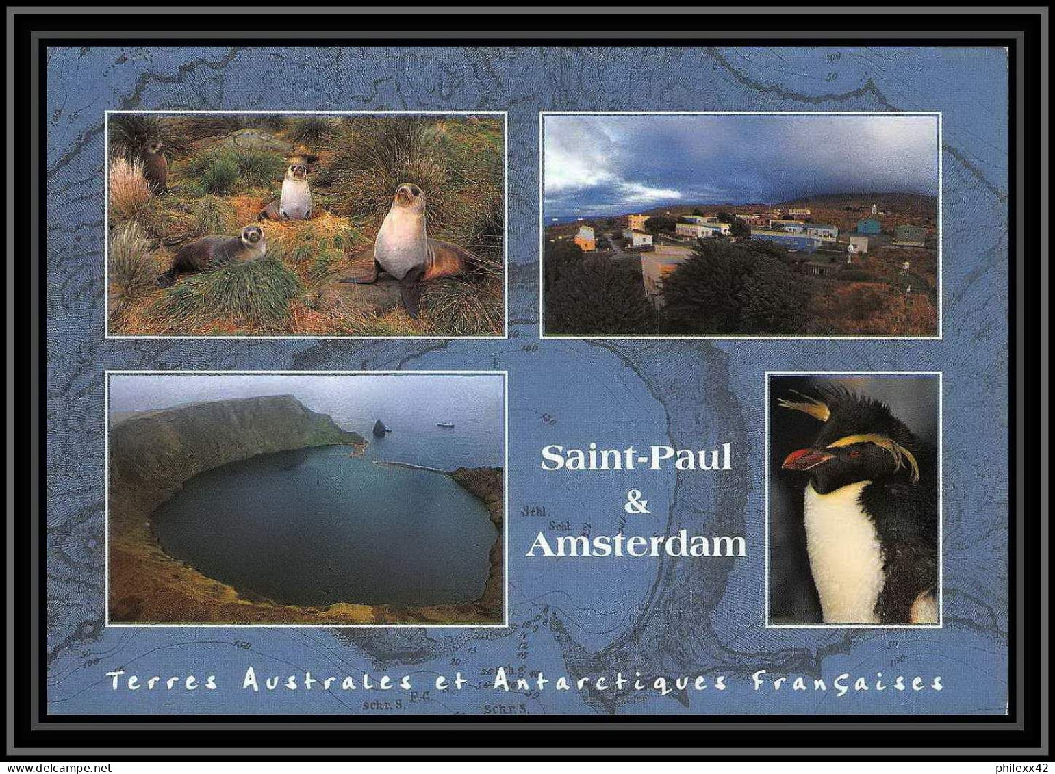 2807 Sea Elephant Terres Australes (taaf)-carte Postale Dufresne 2 Signé Signed Op 2008/4 St Paul N°508 20/12/2008 - Brieven En Documenten